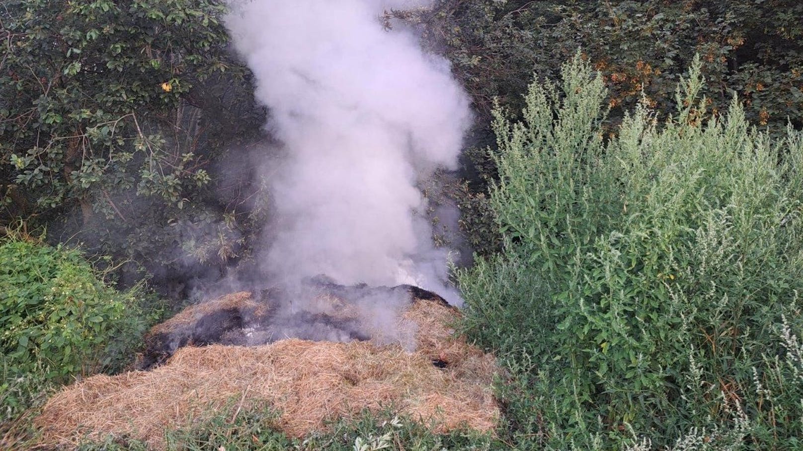 Die Feuerwehr konnte im Bezirk Neunkirchen einen großen Waldbrand verhindern