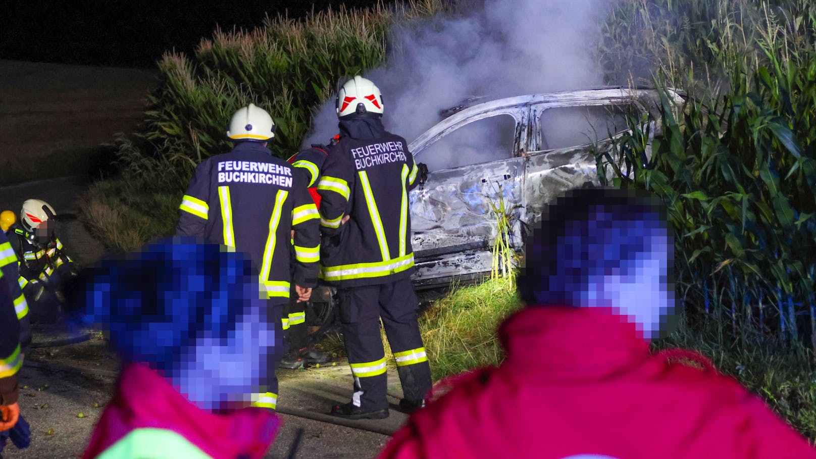 Das E-Auto kam offenbar von der Straße ab und krachte in einen Obstbaum und ging in einem Maisfeld in Flammen auf.