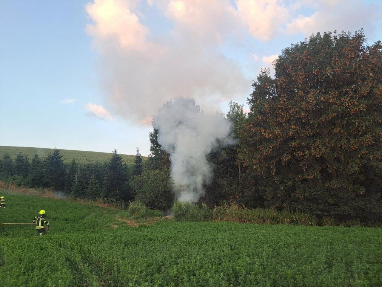 Die Feuerwehr konnte im Bezirk Neunkirchen einen großen Waldbrand verhindern