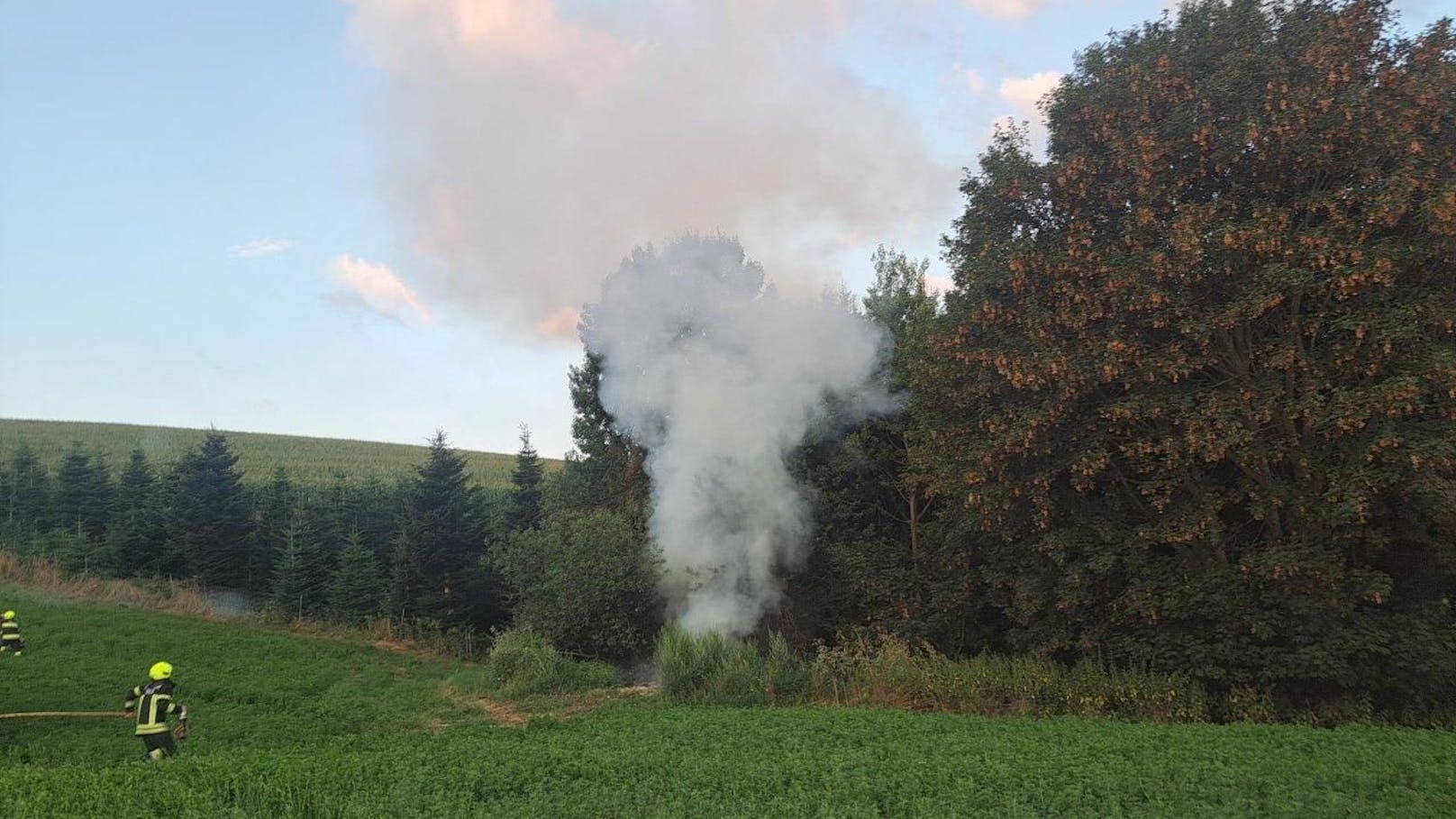 Rauchsäule! Feuerwehr verhinderte großen Waldbrand