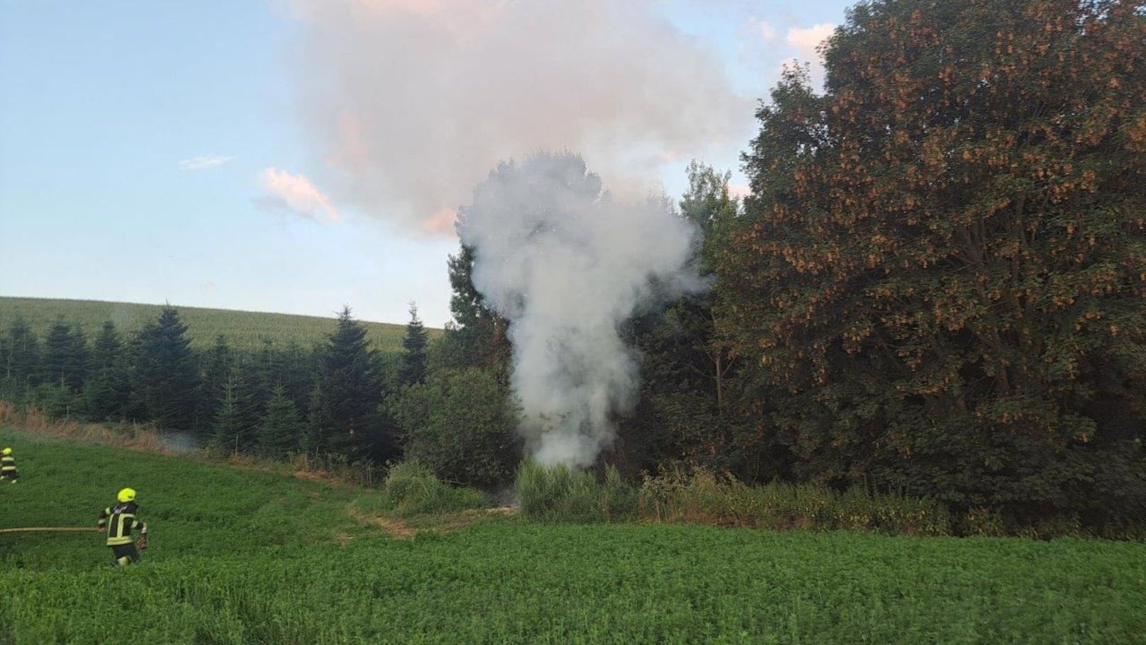 Die Feuerwehr konnte im Bezirk Neunkirchen einen großen Waldbrand verhindern