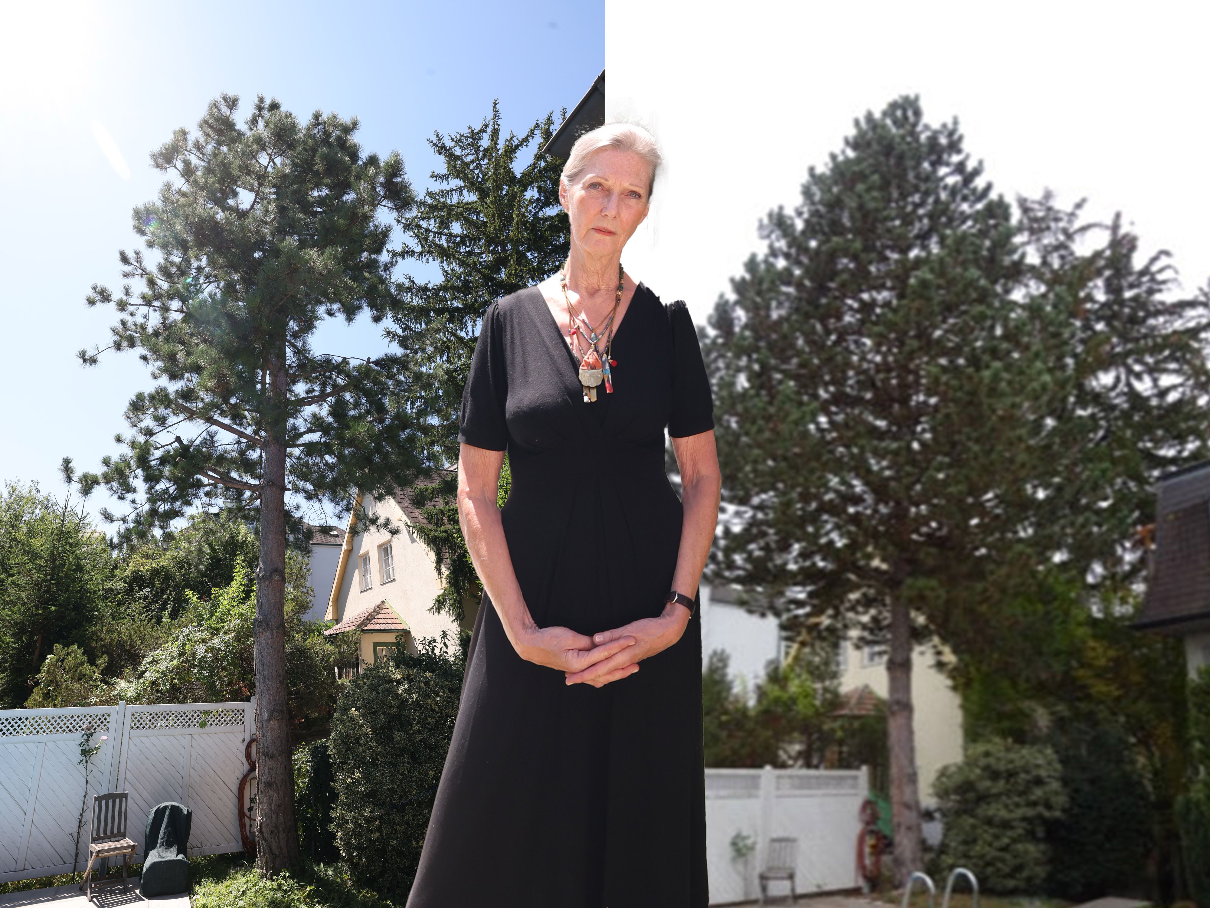 Brigitte A. ließ ihre Föhre von Professionisten zurückschneiden – der Baum vor dem Rückschnitt (r.) und in jetzigem Zustand (l.)