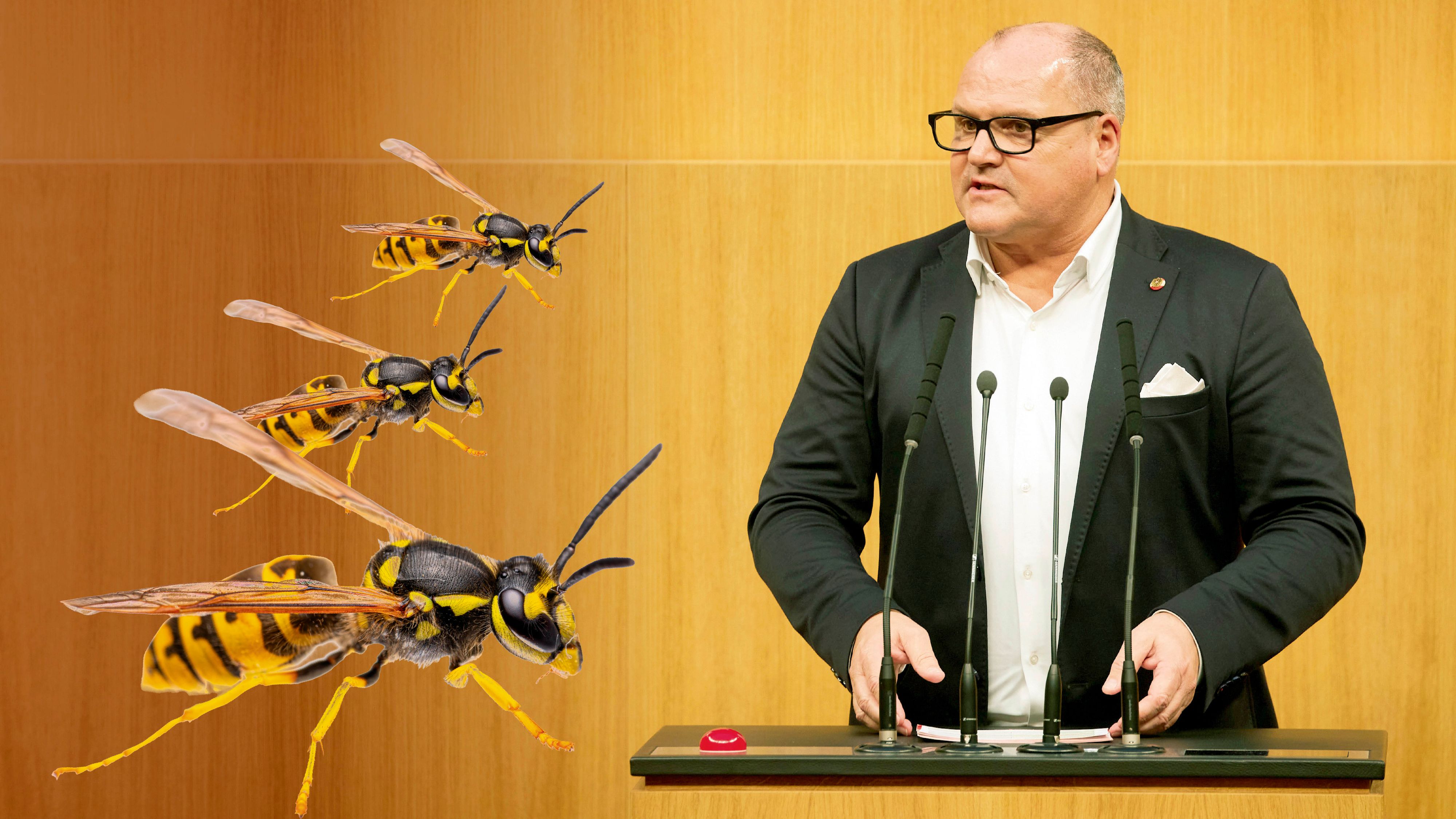 Wespenstich in Hals: SPÖ-Nationalrat Schroll am Weg der Besserung