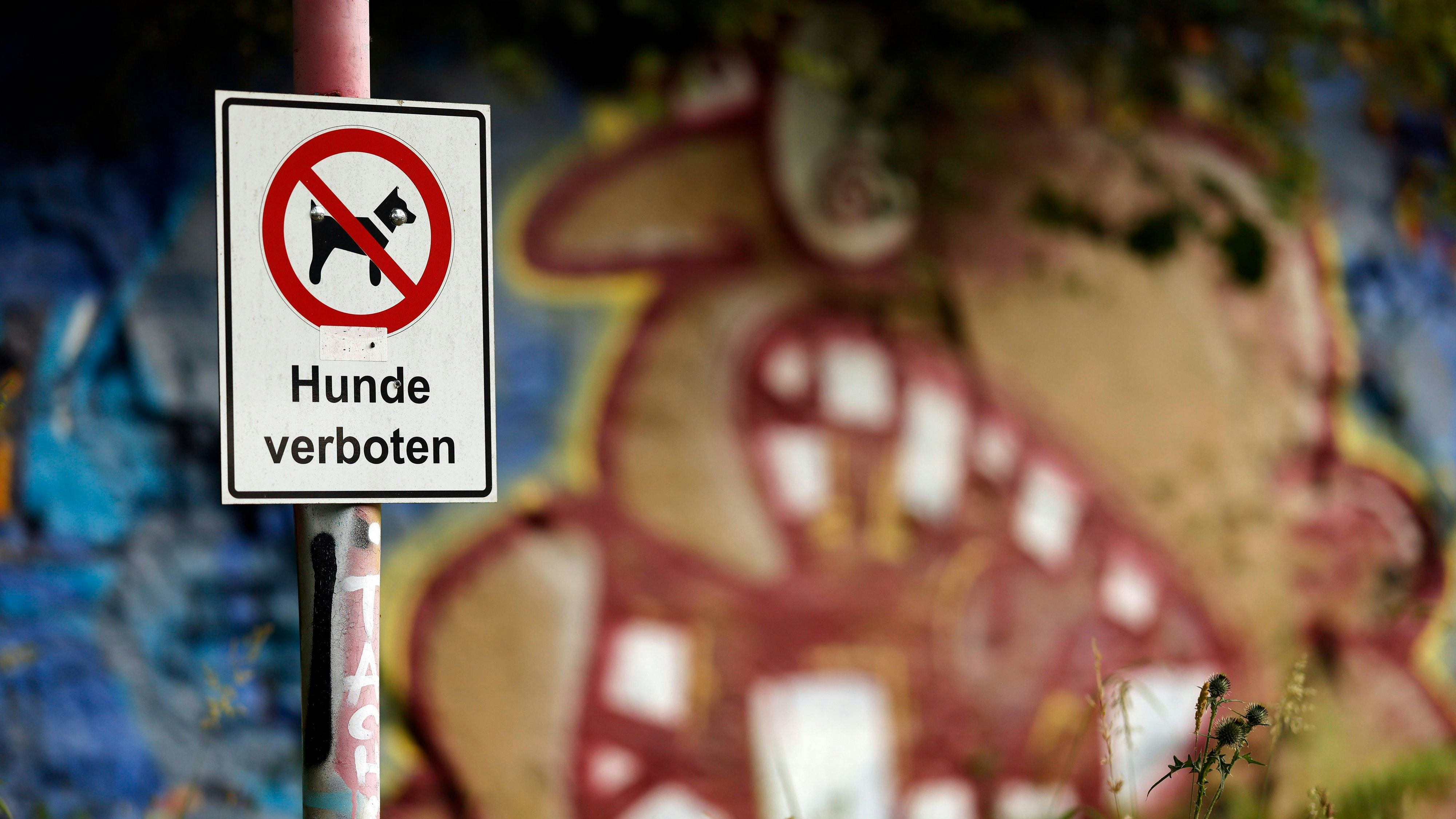 Heute.at - Streit bei Gassi-Runde eskaliert – Messer wird gezückt