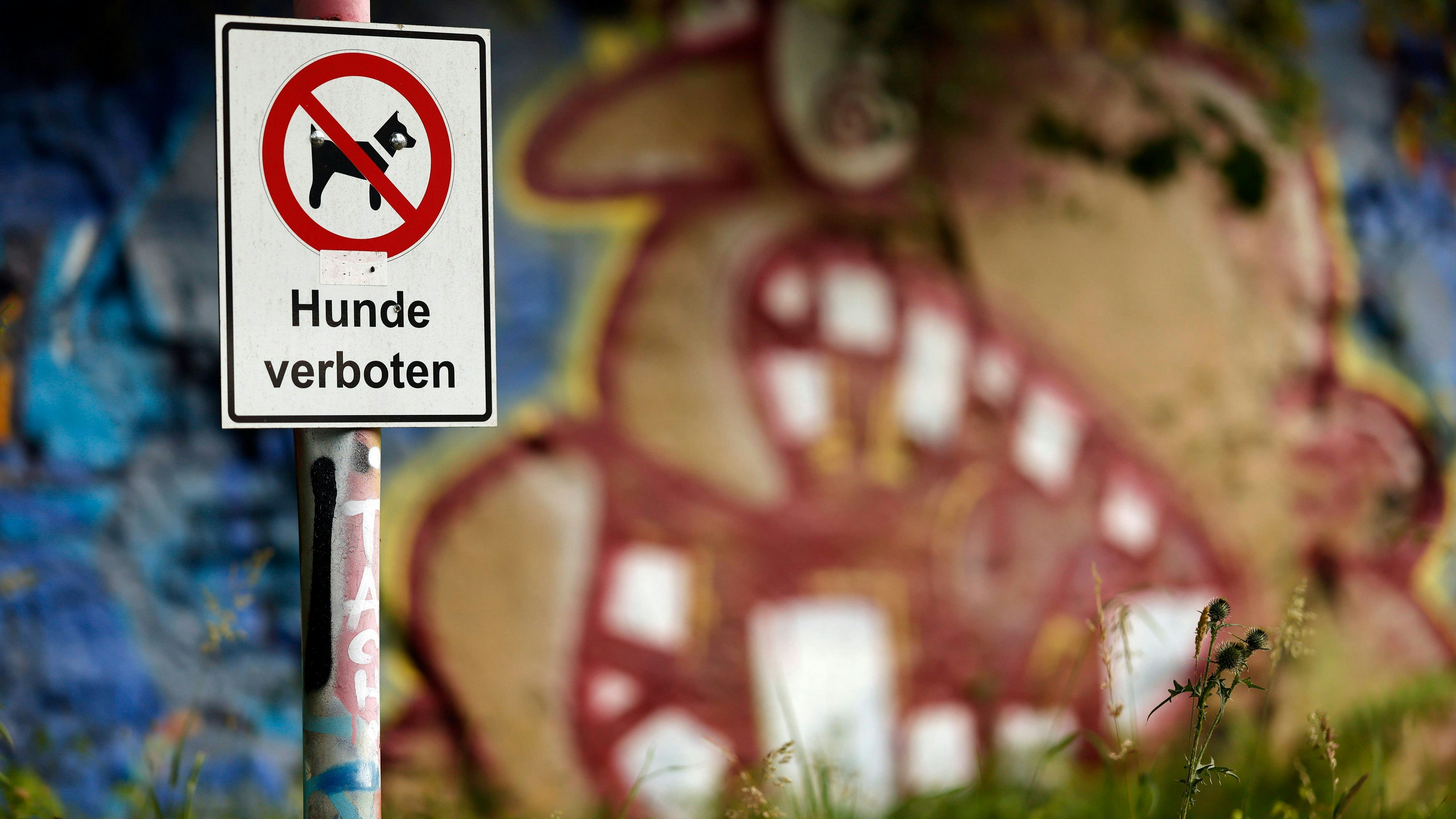 Ein Schild Hunde verboten an einem Grünstreifen nahe eines Bahnhofs weist Passanten darauf hin, dass ihre Hunde hier nicht ihr Geschäft verrichten sollen. Themenbild, Symbolbild Frechen, 14.05.2024 NRW Deutschland *** A no dogs allowed sign on a grass verge near a train station tells passers-by that their dogs should not do their business here Themed picture, symbolic picture Frechen, 14 05 2024 NRW Germany Copyright: xChristophxHardtx