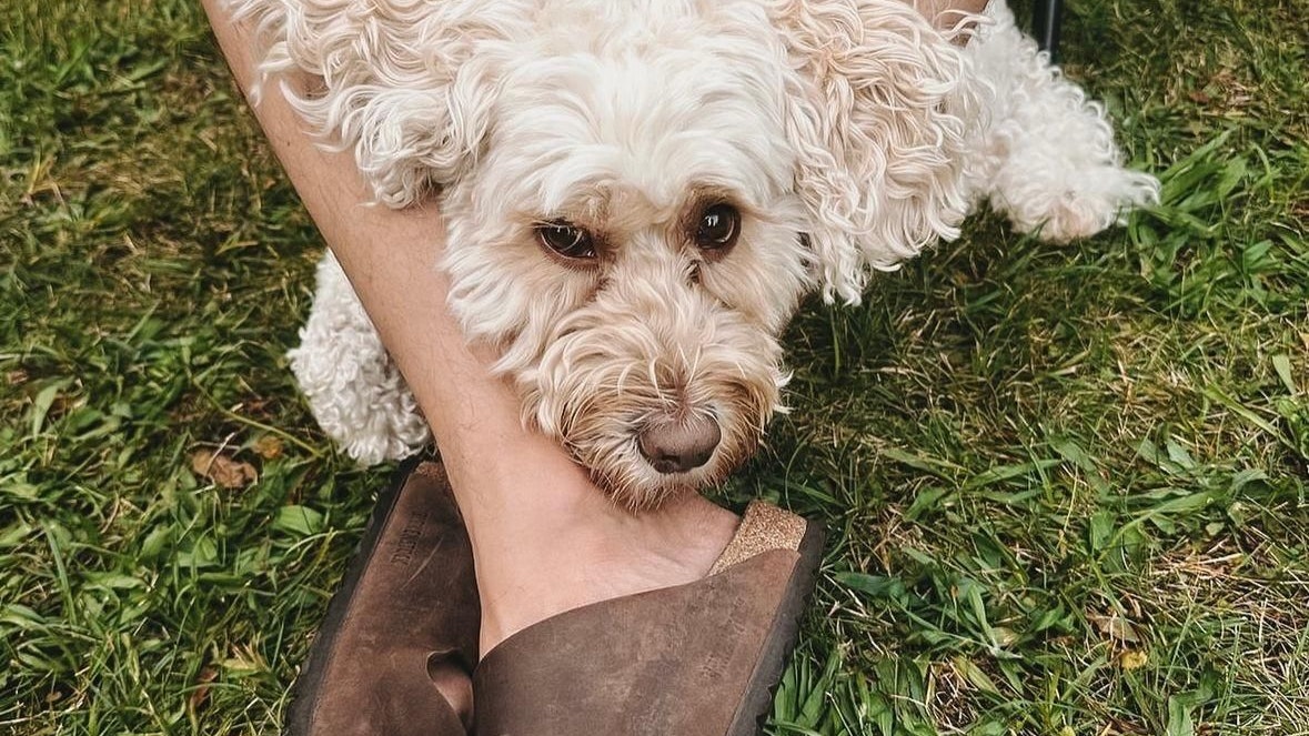 Hund "Lumi" sei die beste Vorbereitung auf ihren Sohn gewesen, sagen die Furdeas.