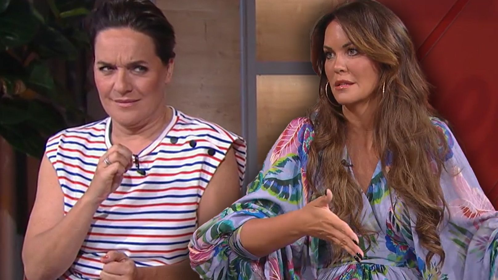 Eva Pölzl und Martina Reuter sind im ORF mal wieder unterschiedlicher Meinungen.