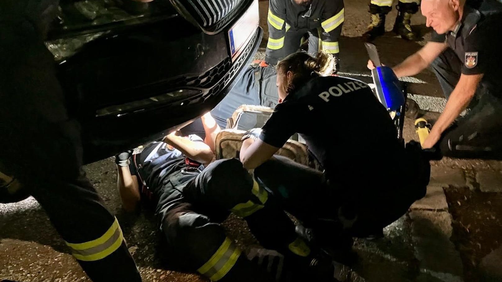 Um das Kätzchen befreien zu können, musste die Feuerwehr hinzugezogen werden.