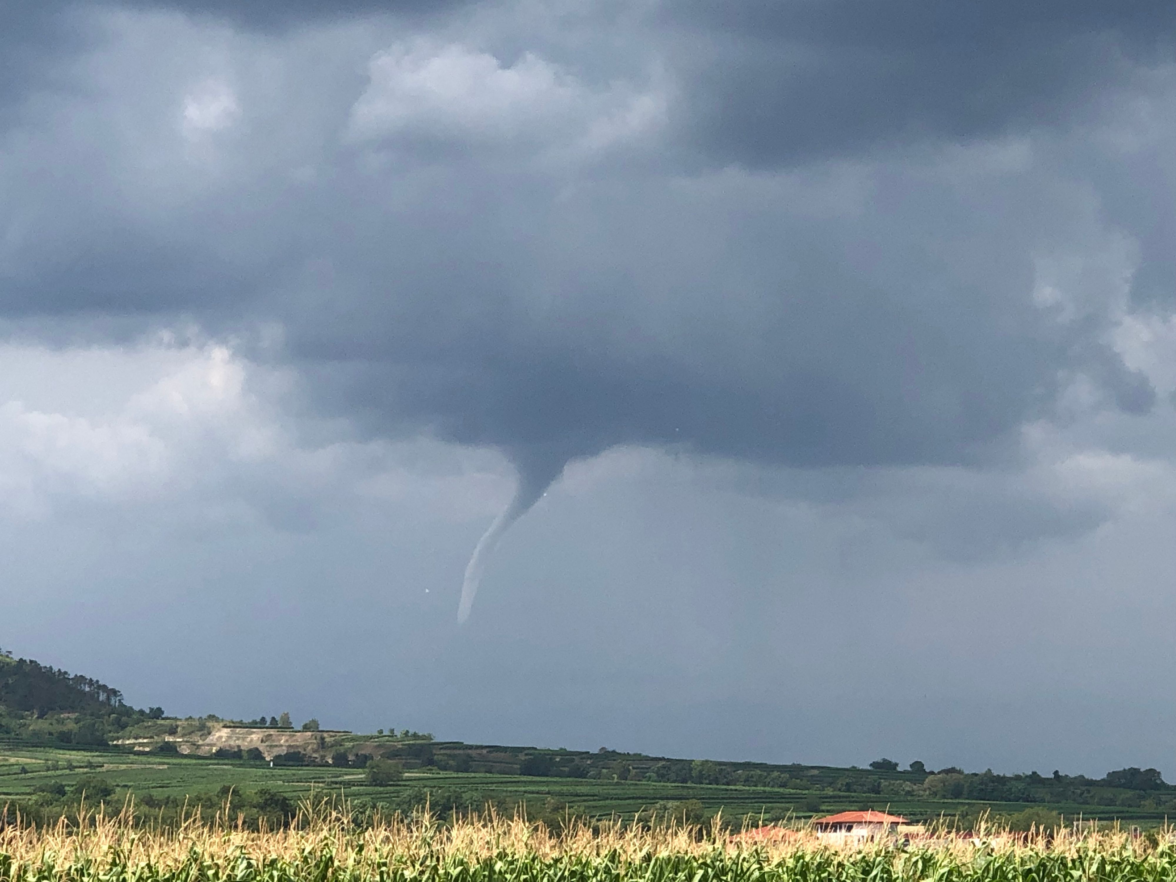 Bei Nussdorf ob der Traisen hat eine Leserin dieses beeindruckende Foto geschossen.