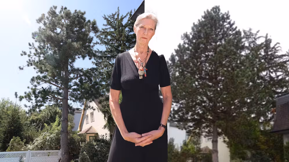 Der Baum vor (r.) und nach (l.) dem Rückschnitt. Brigitte A. (69) ist erleichtert, dass sie nun doch keine Strafe zahlen muss.