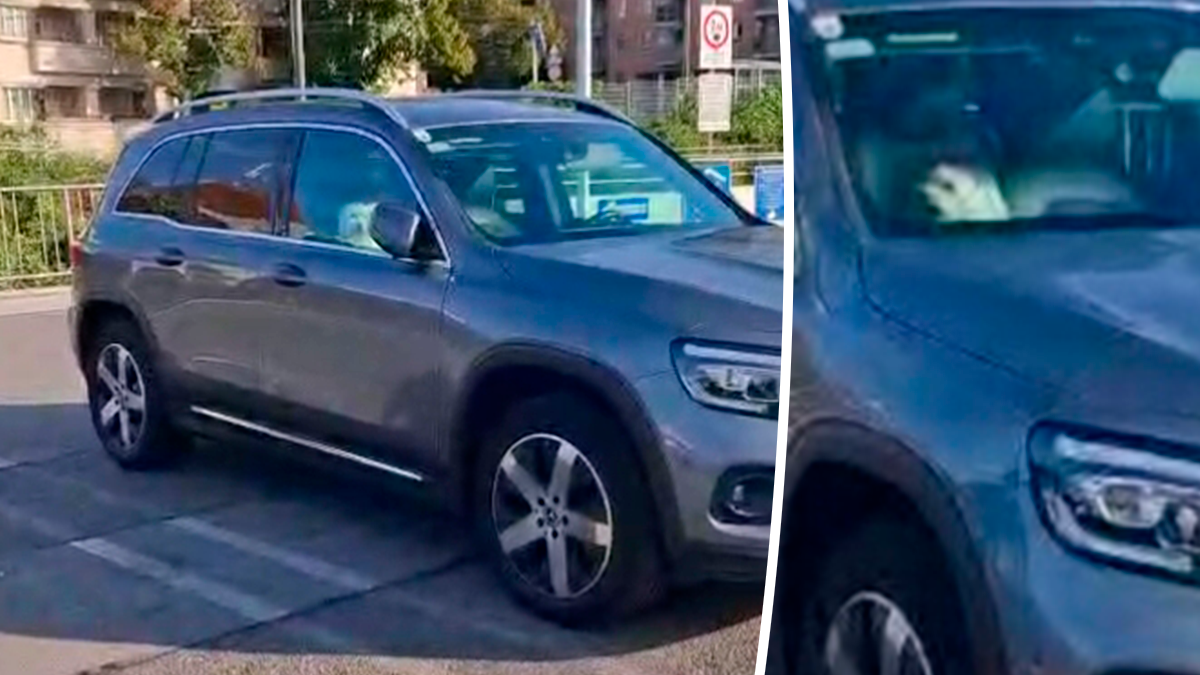 Auf einem Supermarkt-Parkplatz in Wien-Währing wurde ein kleiner Hund von seinem Besitzer in einem Hitze-Auto zurückgelassen.