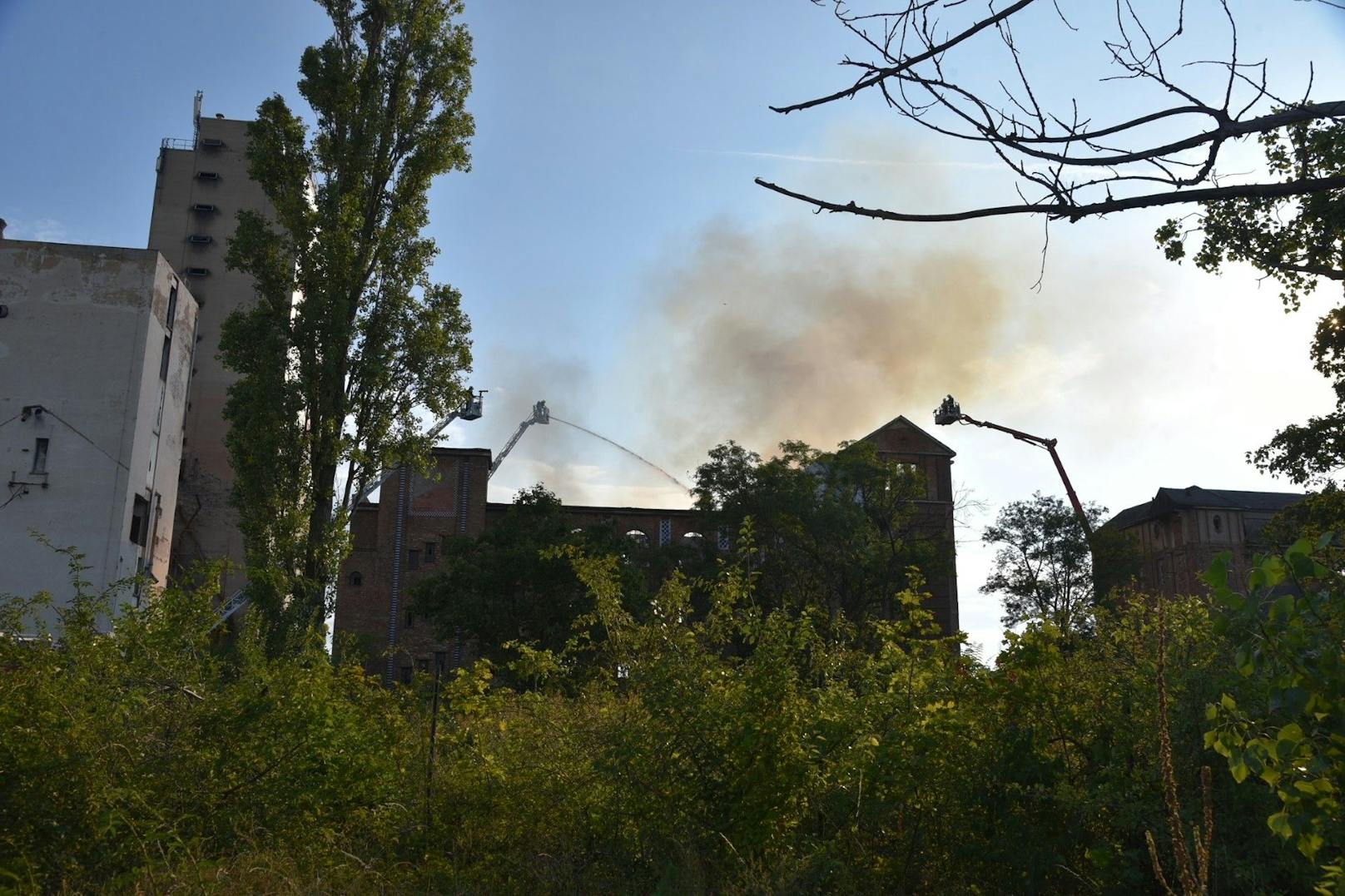 In einem ehemaligen Fabriksgebäude direkt an der Landesgrenze zu Wien ist es am Samstag in Schwechat zu einem Großbrand gekommen. Fünf Feuerwehren aus Niederösterreich sowie die Berufsfeuerwehr aus Wien sind im Einsatz.