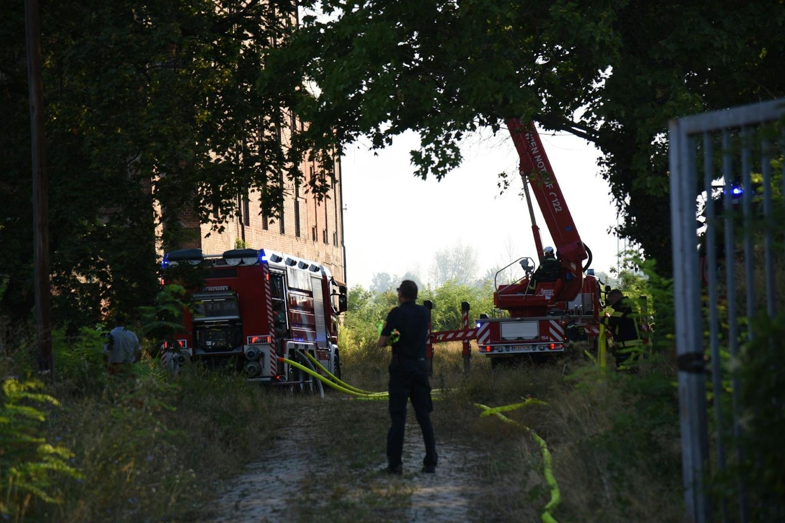 In einem ehemaligen Fabriksgebäude direkt an der Landesgrenze zu Wien ist es am Samstag in Schwechat zu einem Großbrand gekommen. Fünf Feuerwehren aus Niederösterreich sowie die Berufsfeuerwehr aus Wien sind im Einsatz.