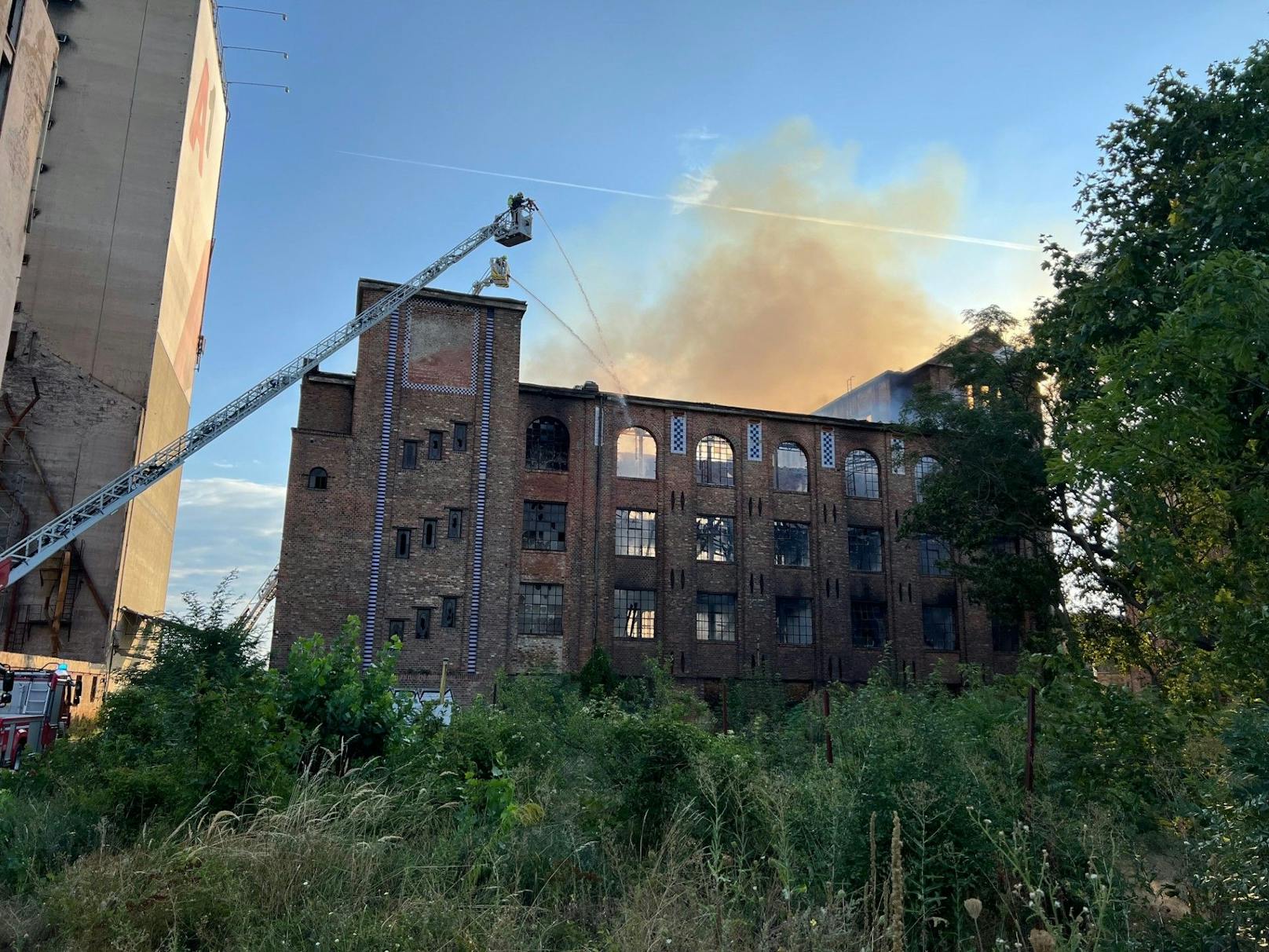 In einem ehemaligen Fabriksgebäude direkt an der Landesgrenze zu Wien ist es am Samstag in Schwechat zu einem Großbrand gekommen. Fünf Feuerwehren aus Niederösterreich sowie die Berufsfeuerwehr aus Wien sind im Einsatz.