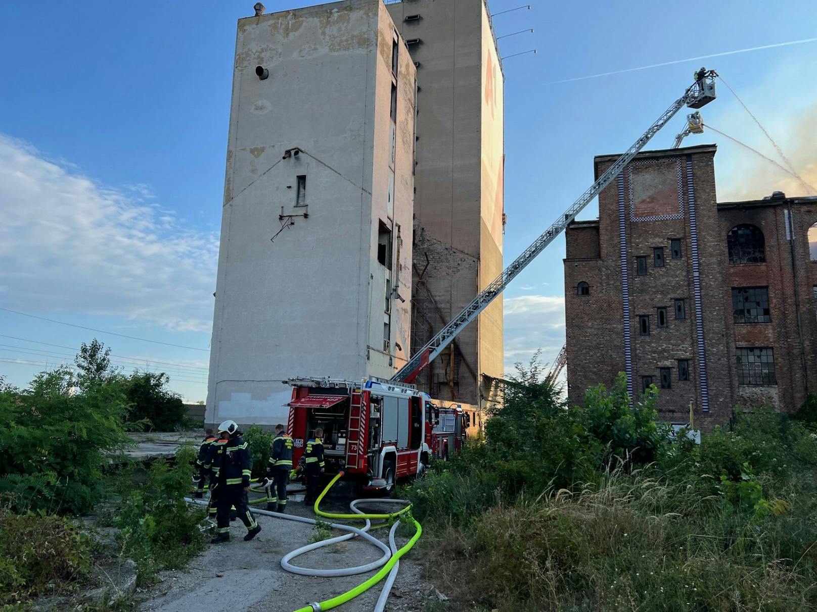 In einem ehemaligen Fabriksgebäude direkt an der Landesgrenze zu Wien ist es am Samstag in Schwechat zu einem Großbrand gekommen. Fünf Feuerwehren aus Niederösterreich sowie die Berufsfeuerwehr aus Wien sind im Einsatz.