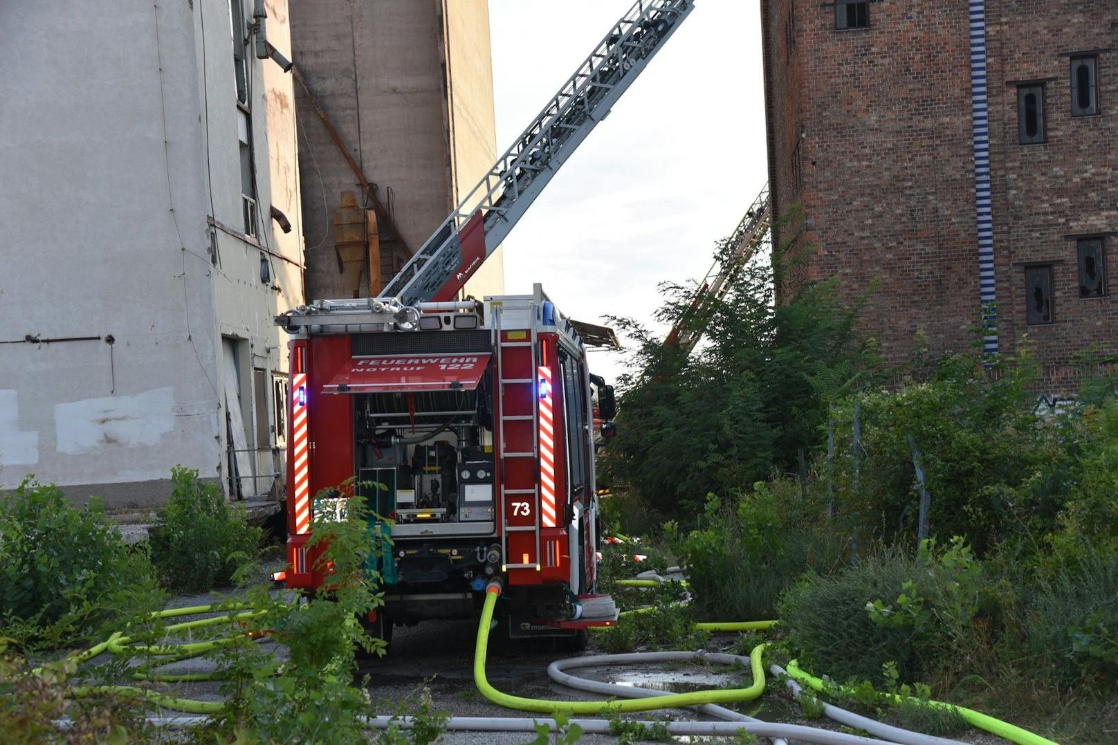 In einem ehemaligen Fabriksgebäude direkt an der Landesgrenze zu Wien ist es am Samstag in Schwechat zu einem Großbrand gekommen. Fünf Feuerwehren aus Niederösterreich sowie die Berufsfeuerwehr aus Wien sind im Einsatz.