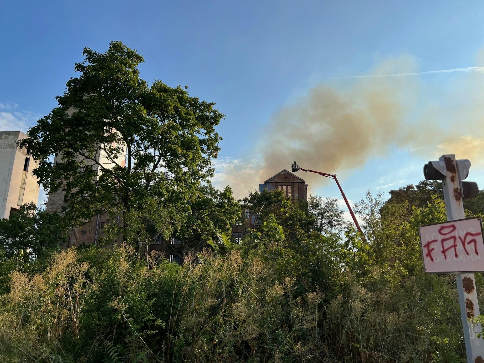 In einem ehemaligen Fabriksgebäude direkt an der Landesgrenze zu Wien ist es am Samstag in Schwechat zu einem Großbrand gekommen. Fünf Feuerwehren aus Niederösterreich sowie die Berufsfeuerwehr aus Wien sind im Einsatz.