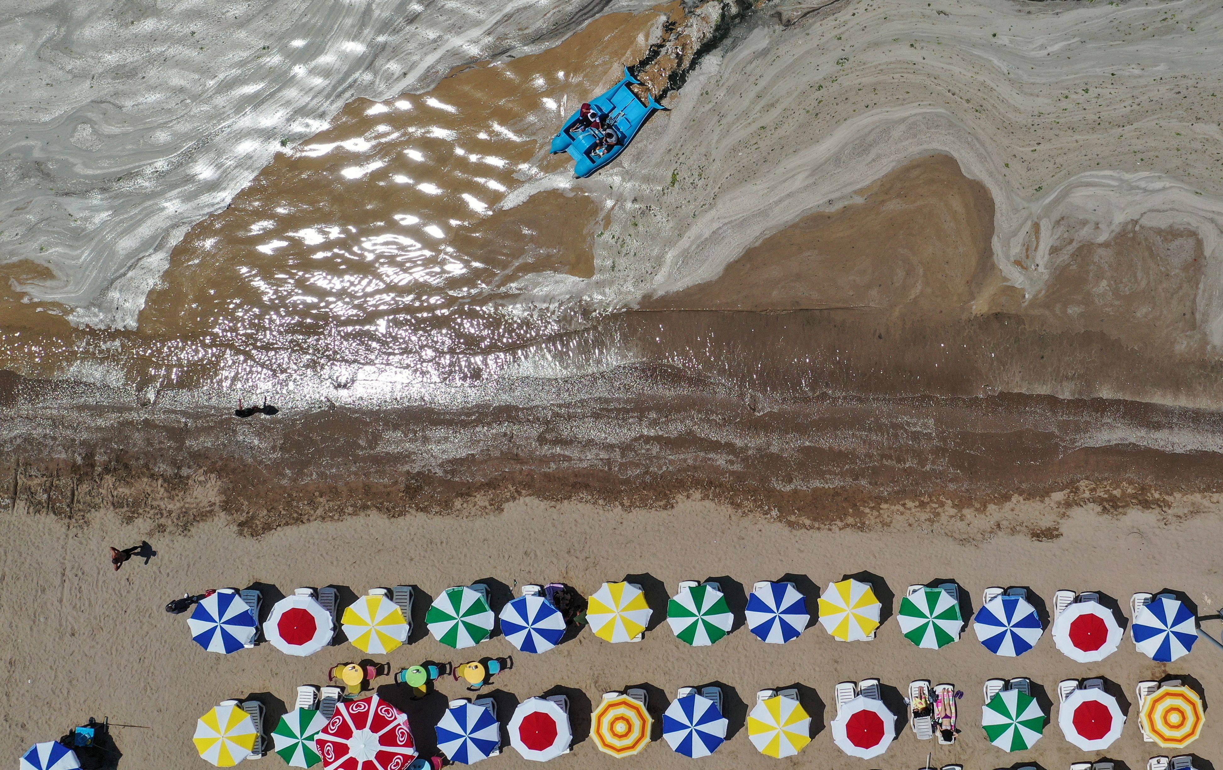 Meeresrotz verkleinert den Badespaß mit seiner schleimigen oder gelatinösen Konsistenz. (Symbol-Archivbild)