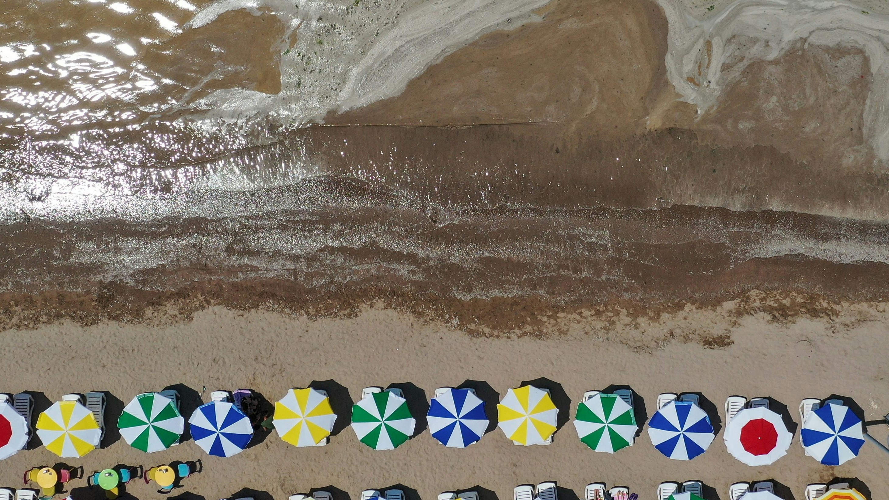 Meeresrotz verkleinert den Badespaß mit seiner schleimigen oder gelatinösen Konsistenz. (Symbol-Archivbild)