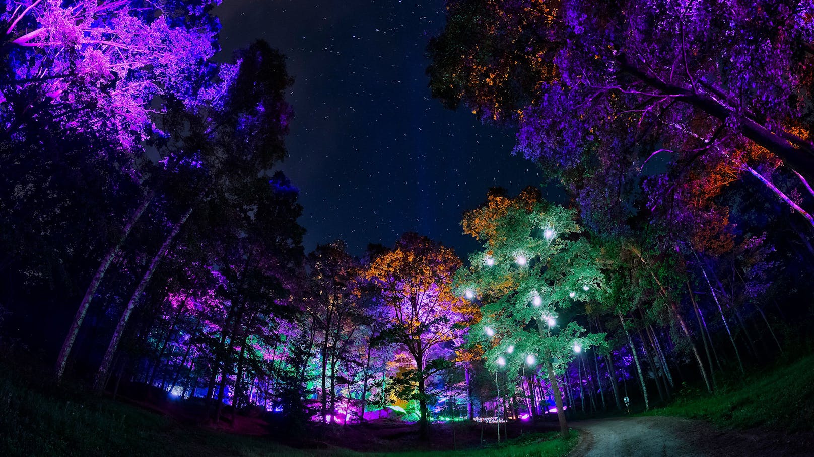 Lichtkunst verbindet im Naturpark Blockheide Kunst und Natur