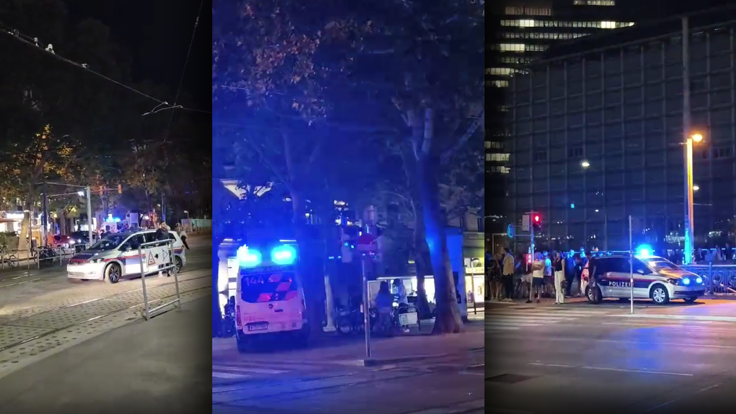 Großeinsatz am Schwedenplatz! Passanten verständigten die Polizei. Grund soll ein Raufhandel gewesen sein.