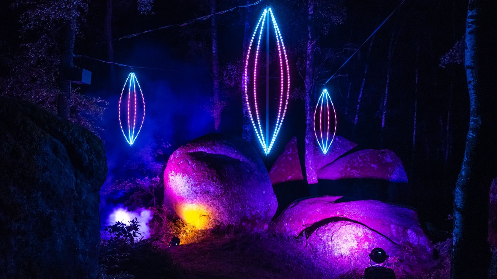 Lichtkunst verbindet im Naturpark Blockheide Kunst und Natur