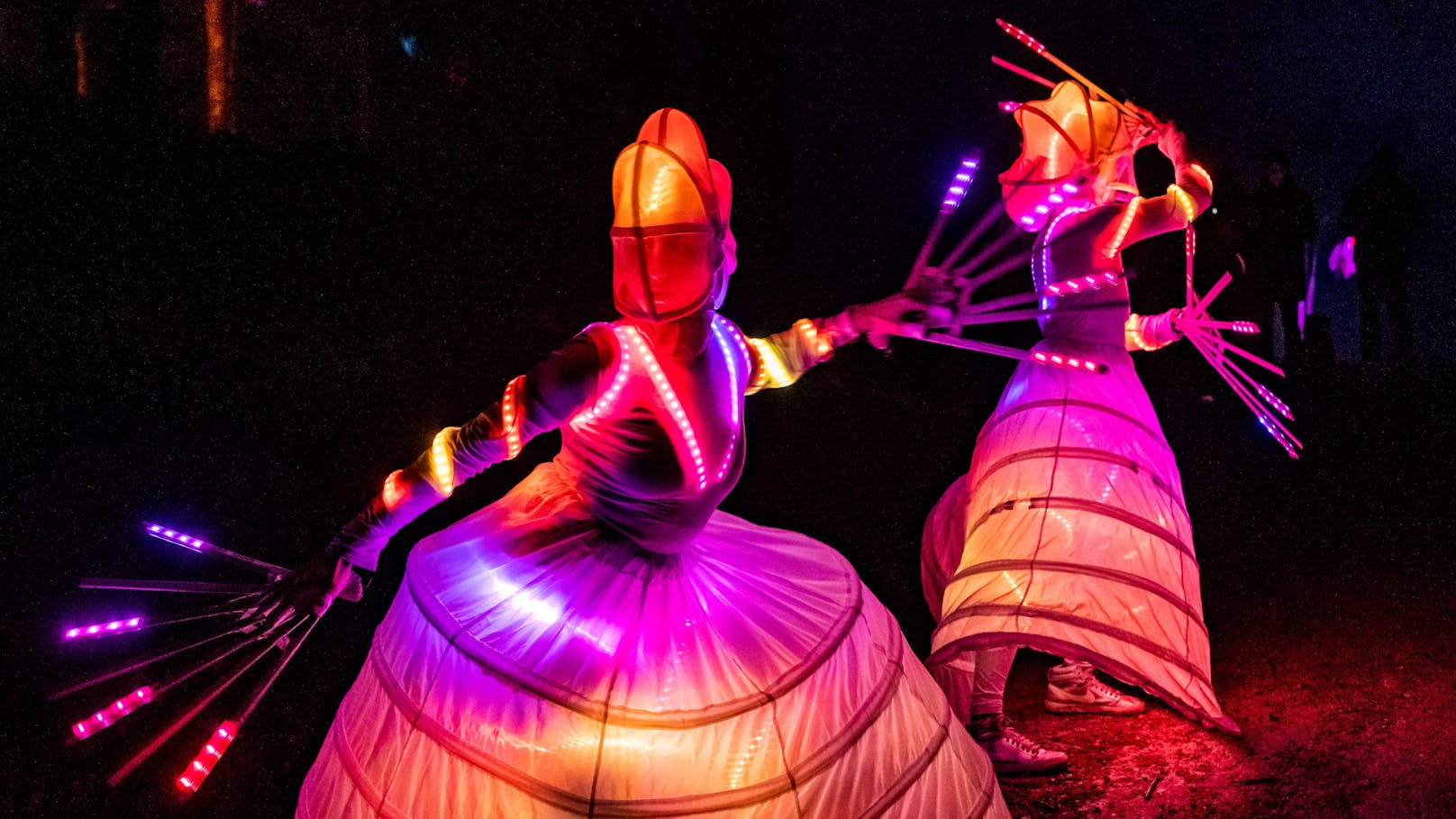 Lichtkunst verbindet im Naturpark Blockheide Kunst und Natur