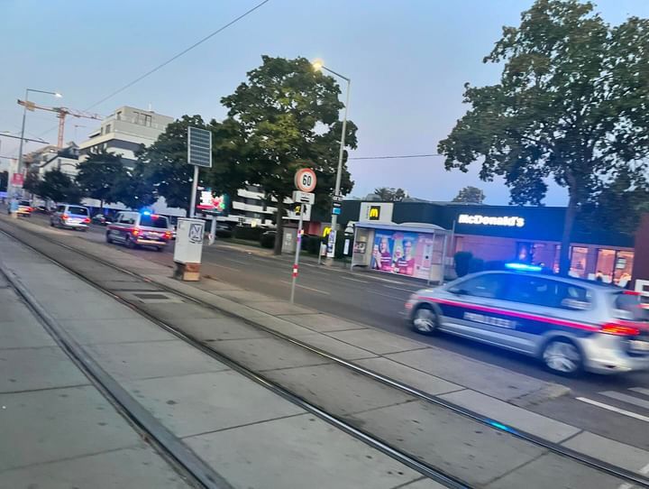Großeinsatz der Wiener Polizei (Symbolfoto)