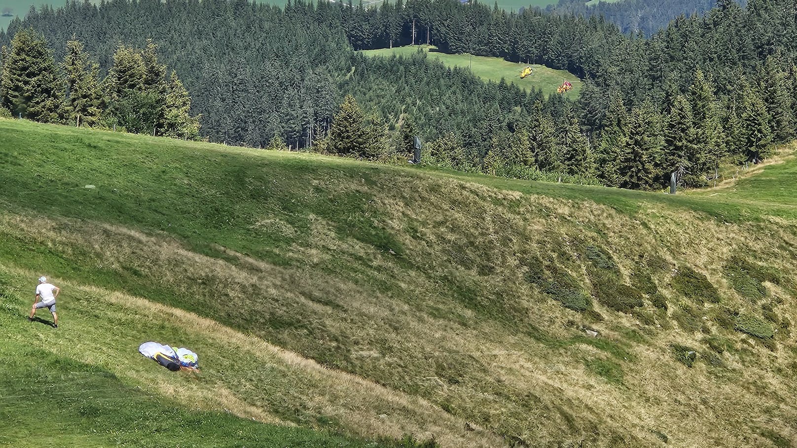 Der Tandemschirm stürzte in einen "Jungwald" und in weiterer Folge zu Boden.