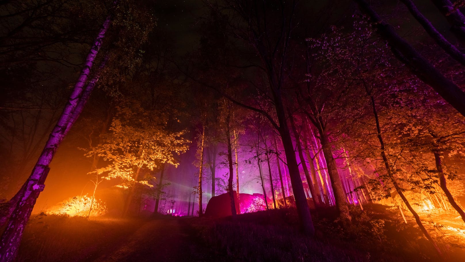 Lichtkunst verbindet im Naturpark Blockheide Kunst und Natur