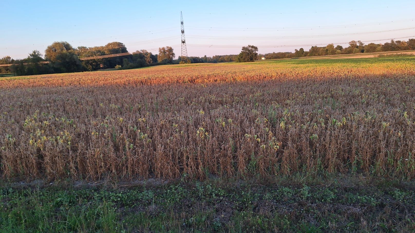 "Man kann sagen, dass die Temperatur im Mittel nicht nur in den vergangenen Wochen, sondern de facto seit vielen Monaten überdurchschnittlich hoch ist", erklärt Steffen Dietz, Meteorologe bei Ubimet gegenüber <em>"Heute"</em>.