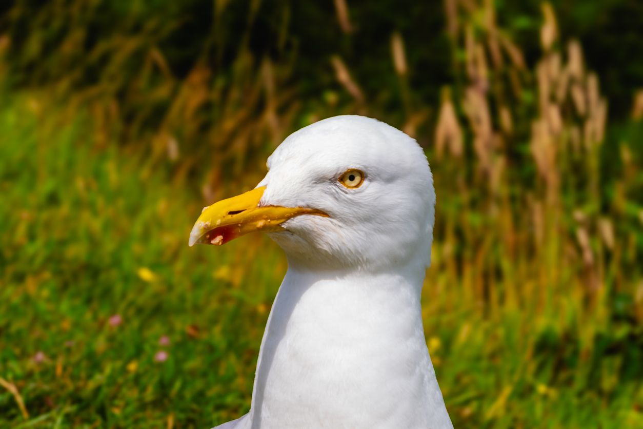 Na gut, wer zuerst blinzelt.