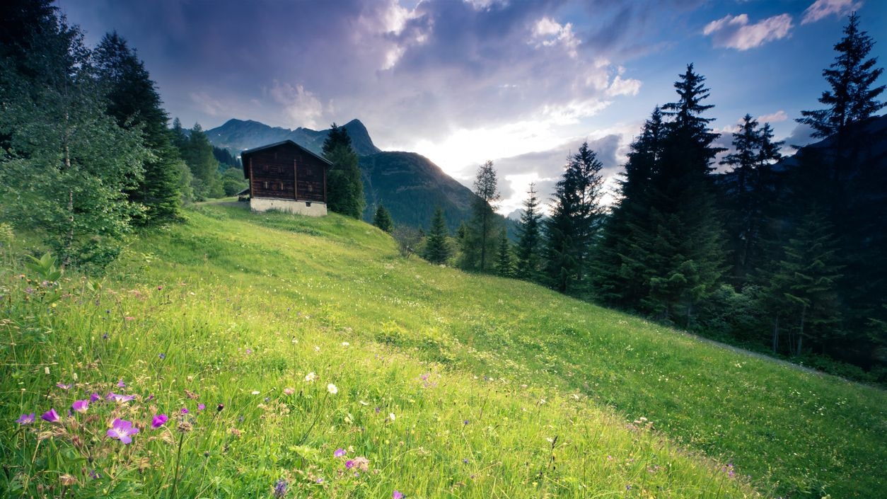 Heute.at - Gewitter und Hagel – hier drohen nun Blitz und Donner