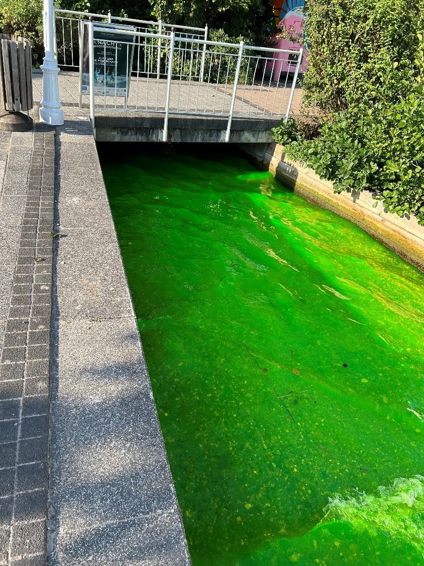 Ein Landeschemiker nahm Proben zur Untersuchung.