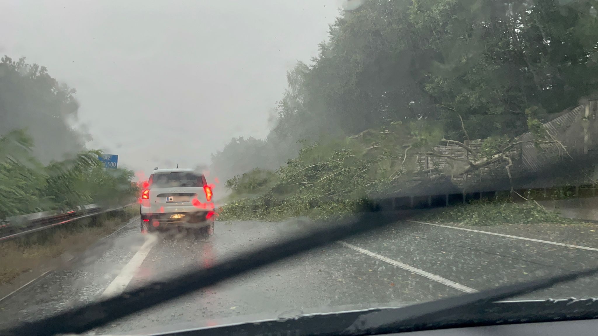 Bäume wurden entwurzelt und auf die Autobahn geschleudert.