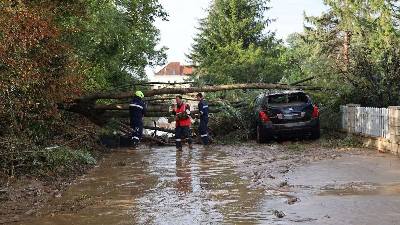 Die Feuerwehr entfernte die umgestürzten Bäume.