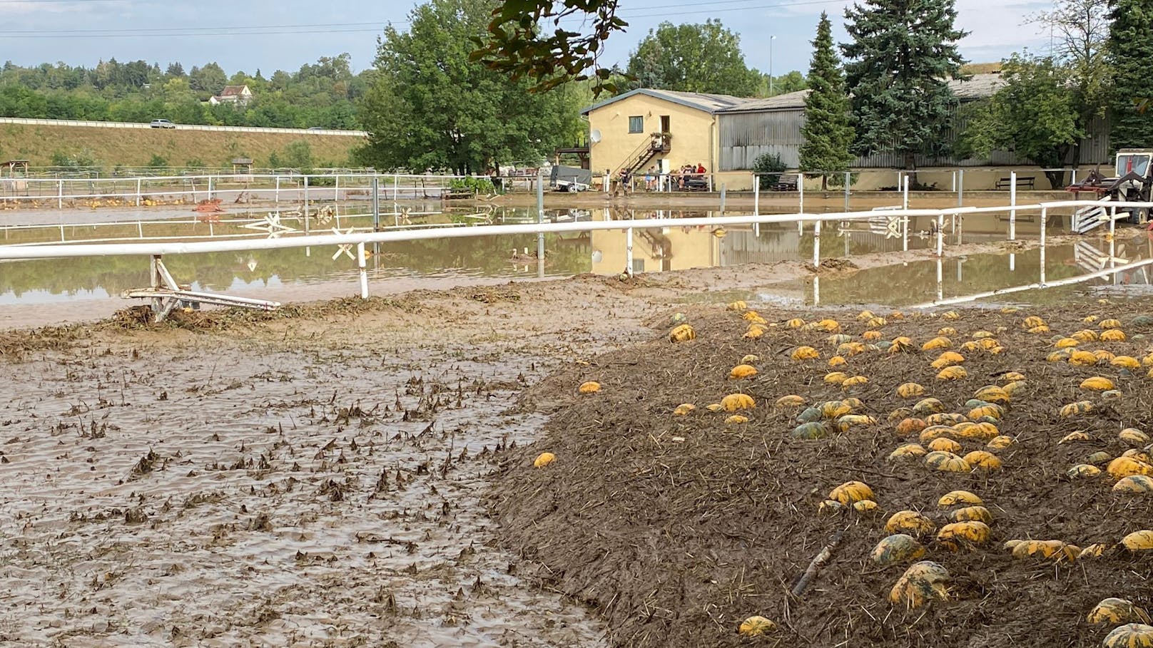 Rund 730 Feuerwehrmitglieder von 102 Feuerwehren waren stundenlang im Einsatz und sind es noch. Das Unwetter verwüstete große Teile des Gemeindegebietes von Hollabrunn. Nun muss aufgeräumt werden. Die Gemeinde wurde zum Katastrophengebiet erklärt.