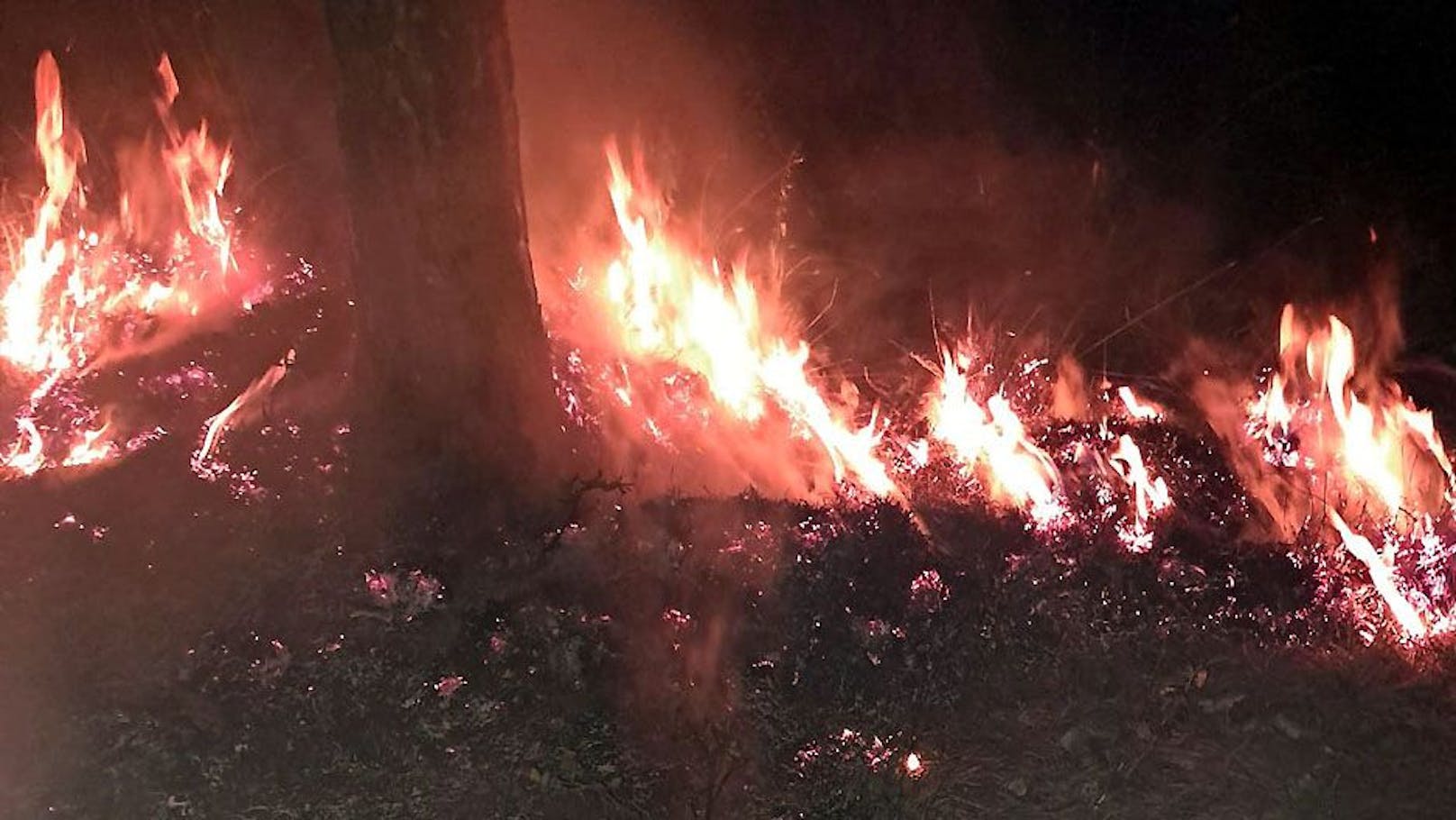 Er sah hautnah, wie gegen 20 Uhr ein Blitzeinschlag im Wald einen Flächenbrand verursachte.