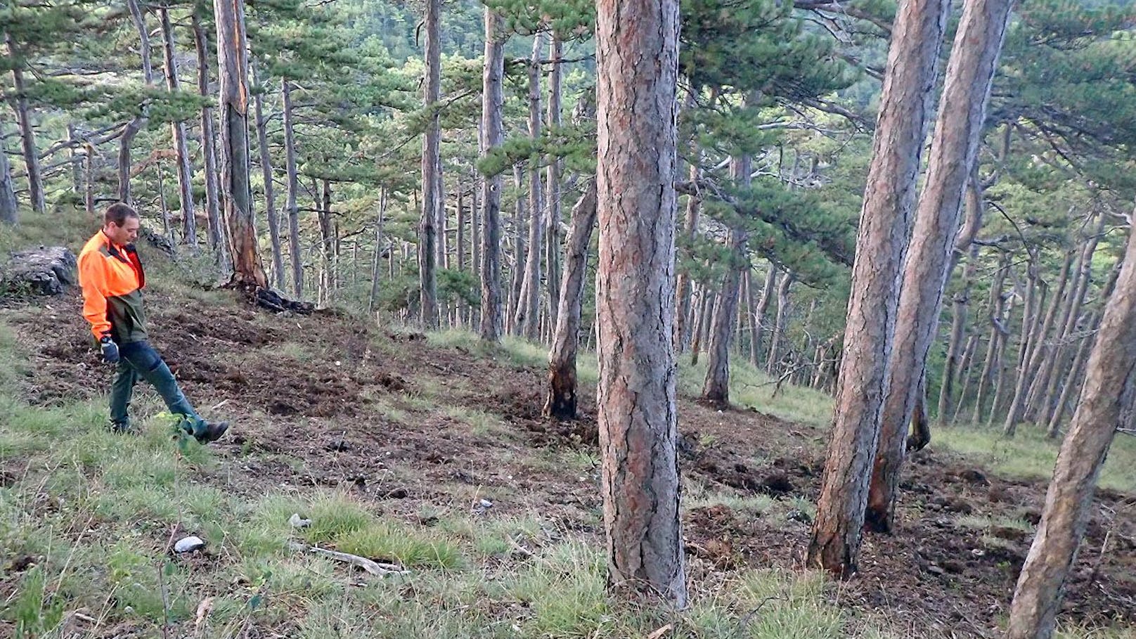 60 Einsatzkräfte aus zehn Freiwilligen Feuerwehren befanden sich bis am Montag gegen 9.20 Uhr vor Ort.