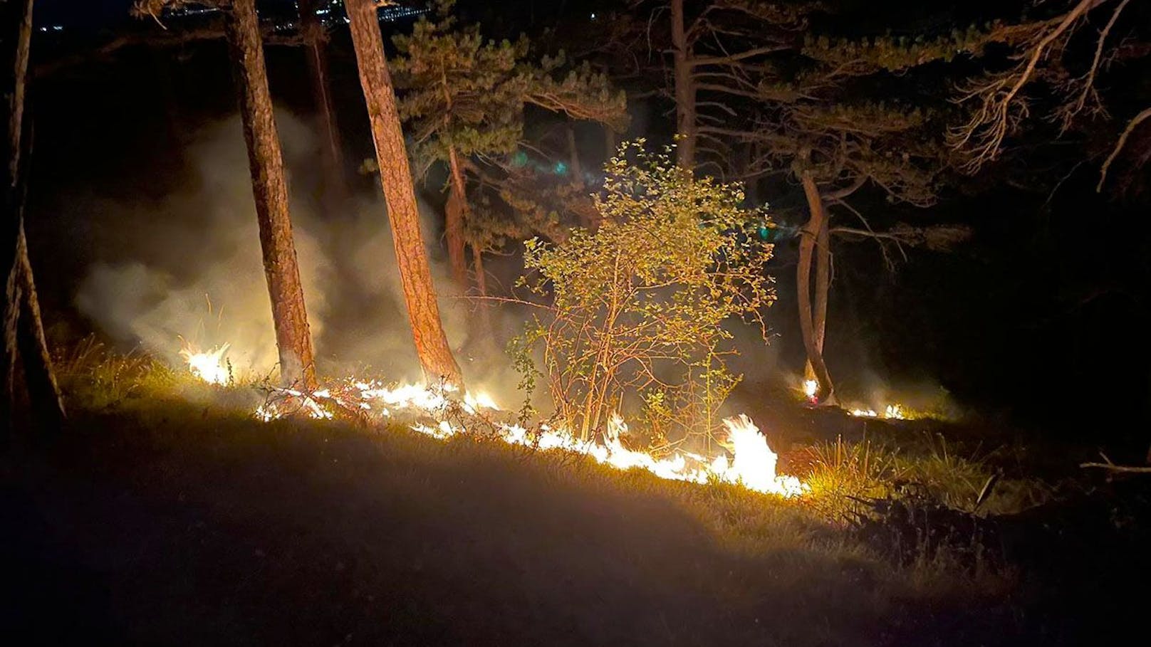 Sonntagabend sorgte ein Blitzeinschlag in Niederösterreich für einen Großeinsatz mehrerer Feuerwehren.