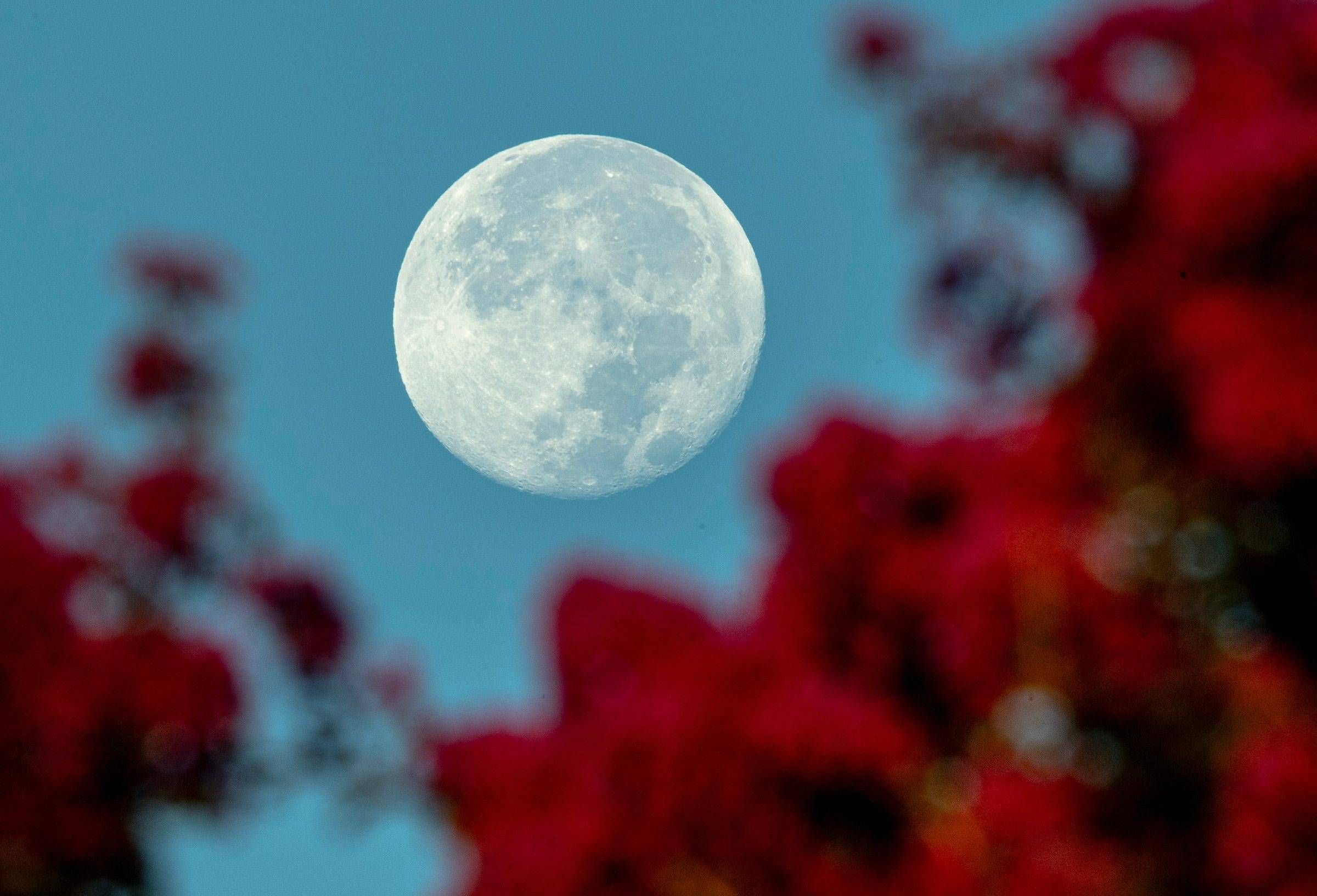 Dieses Jahr wird der Supermond von Sternschnuppen begleitet