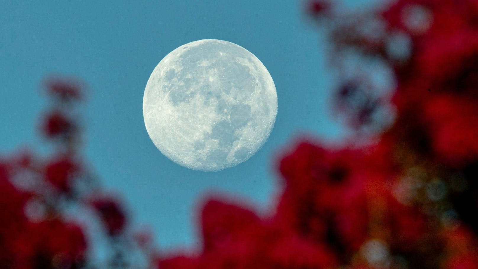 Schau heute nach oben und bestaune den blauen Supermond