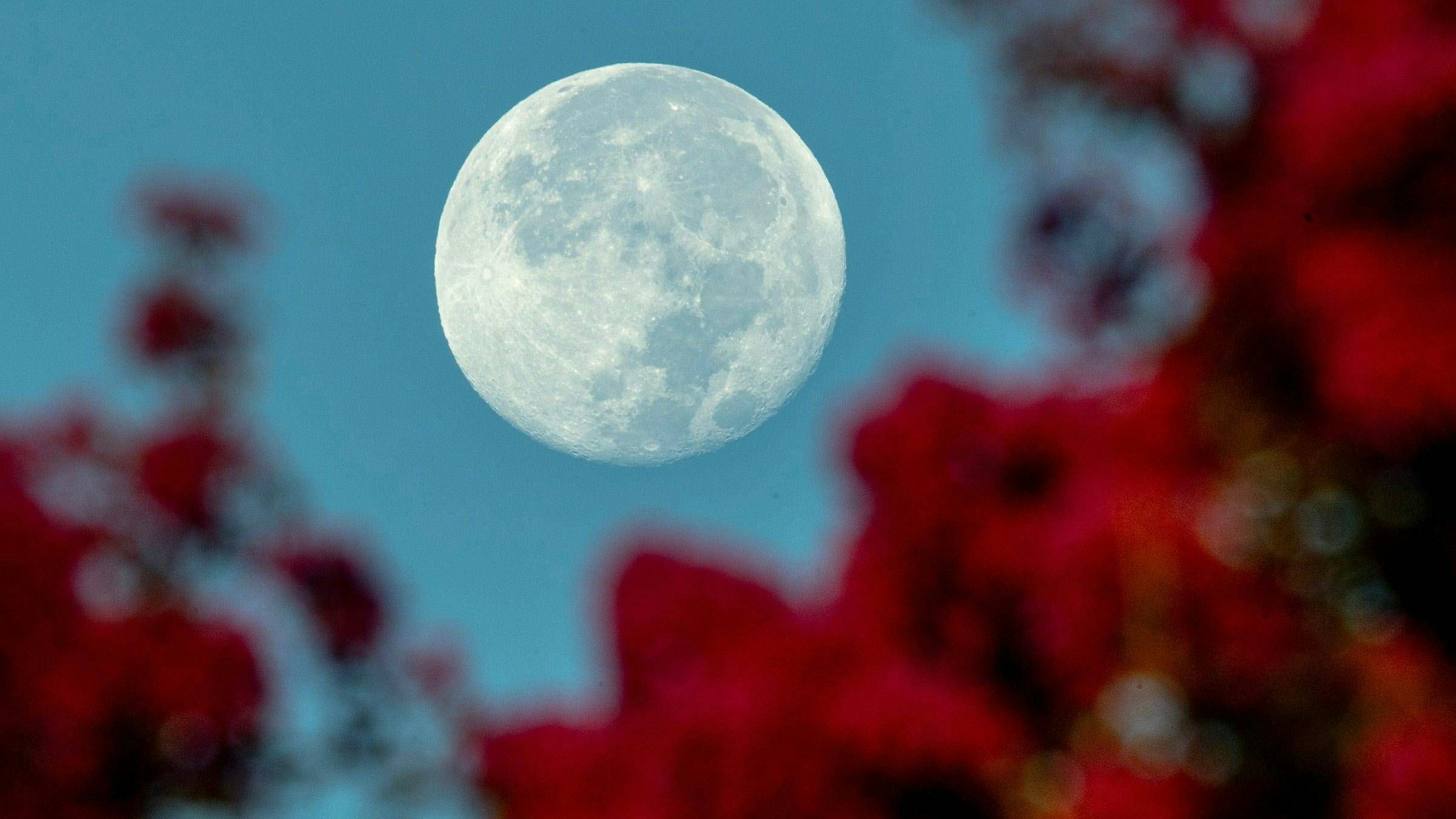 Heute.at - Sternschnuppen und Supermond verzaubern Nachthimmel