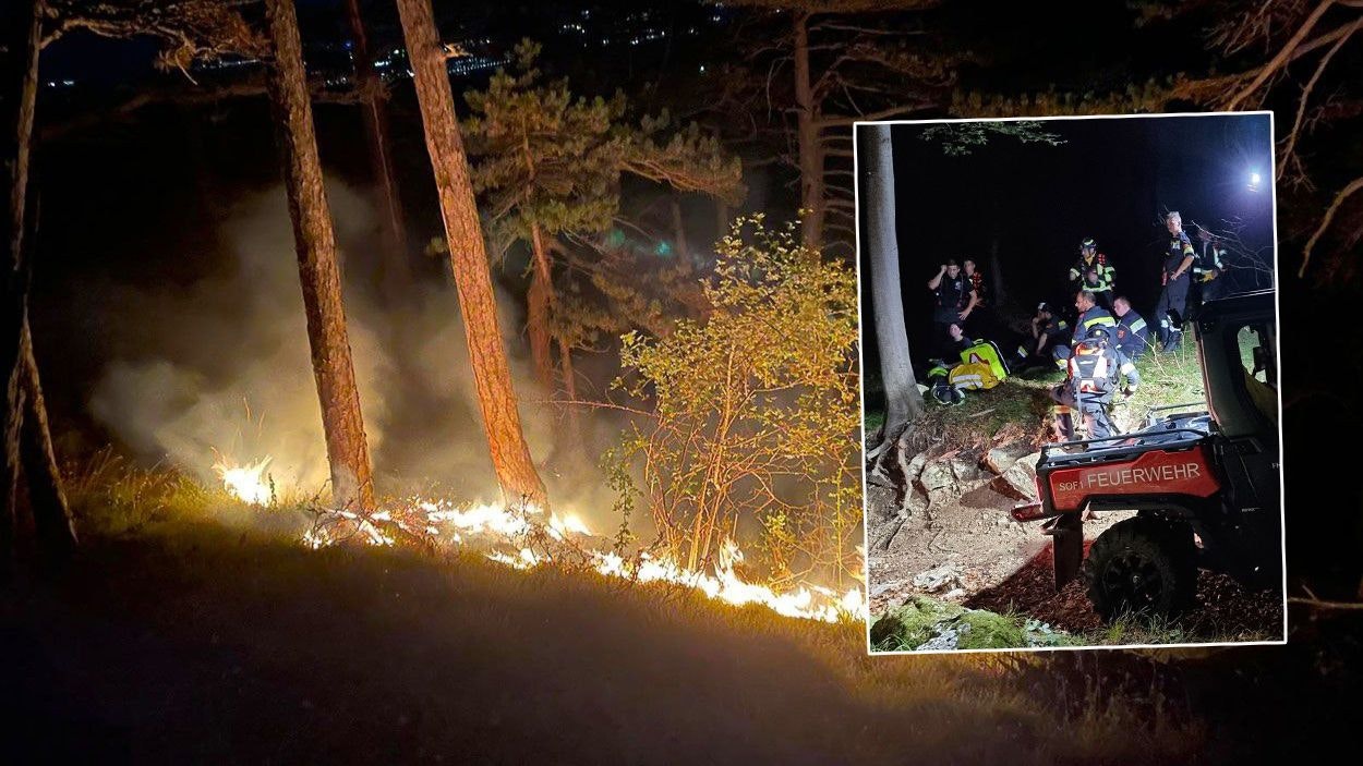 Heute.at - Blitz schlägt in Baum ein – 160 Florianis im Einsatz