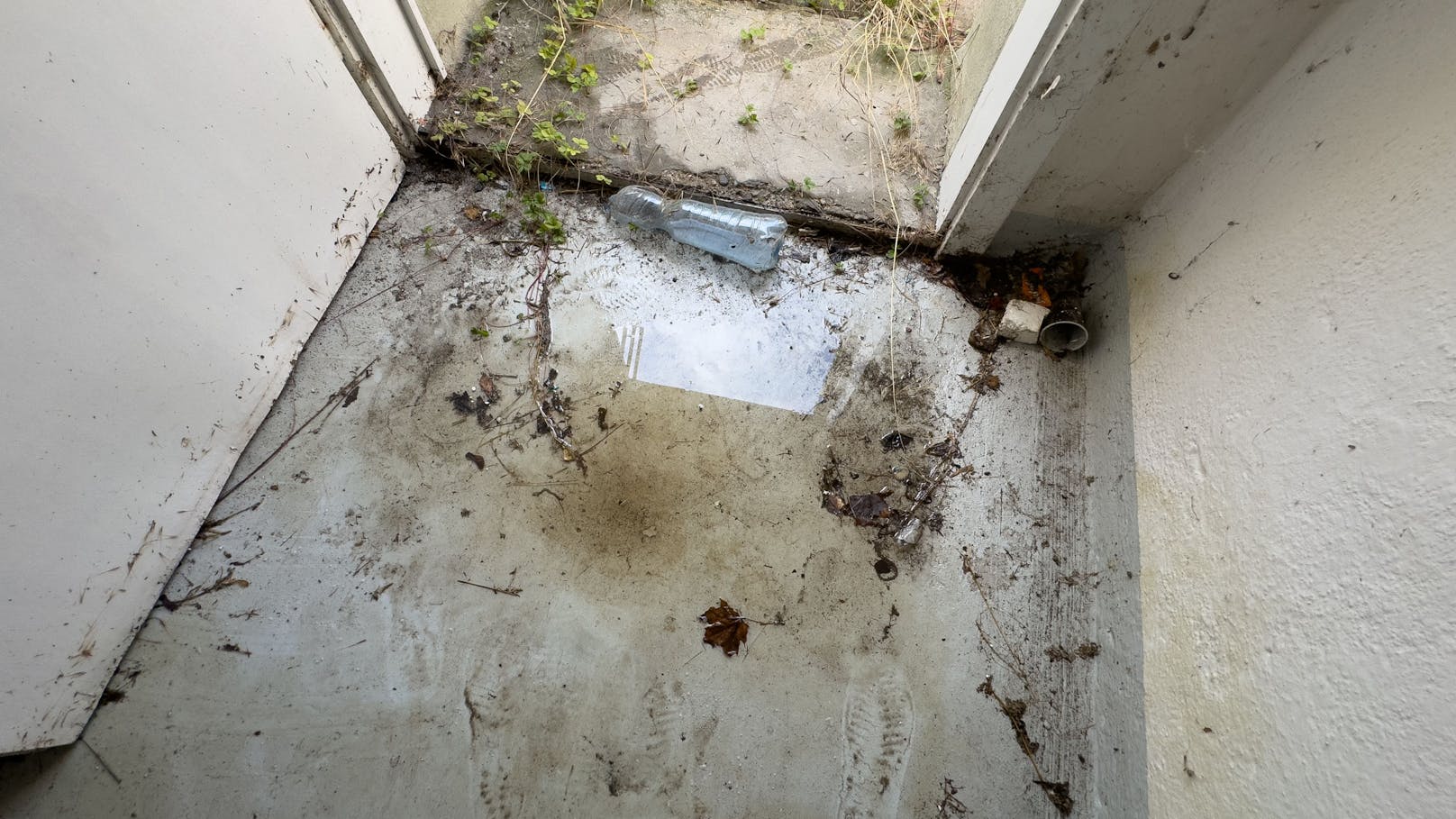 Das Haus von Alvin K. wurde völlig zerstört. Die Tapete hängt in Fetztn von Wänden und Decke, überall stand Wasser.