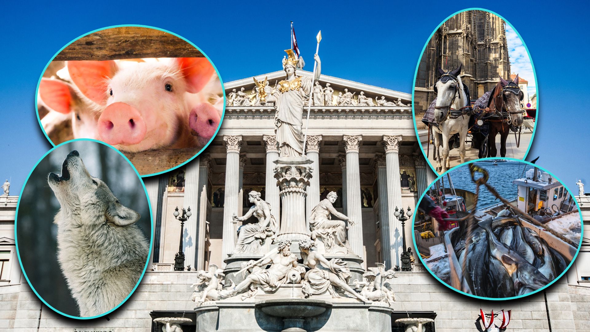 Bei unseren Parteien ist zum Thema Tierschutz noch ganz schön Luft nach oben.