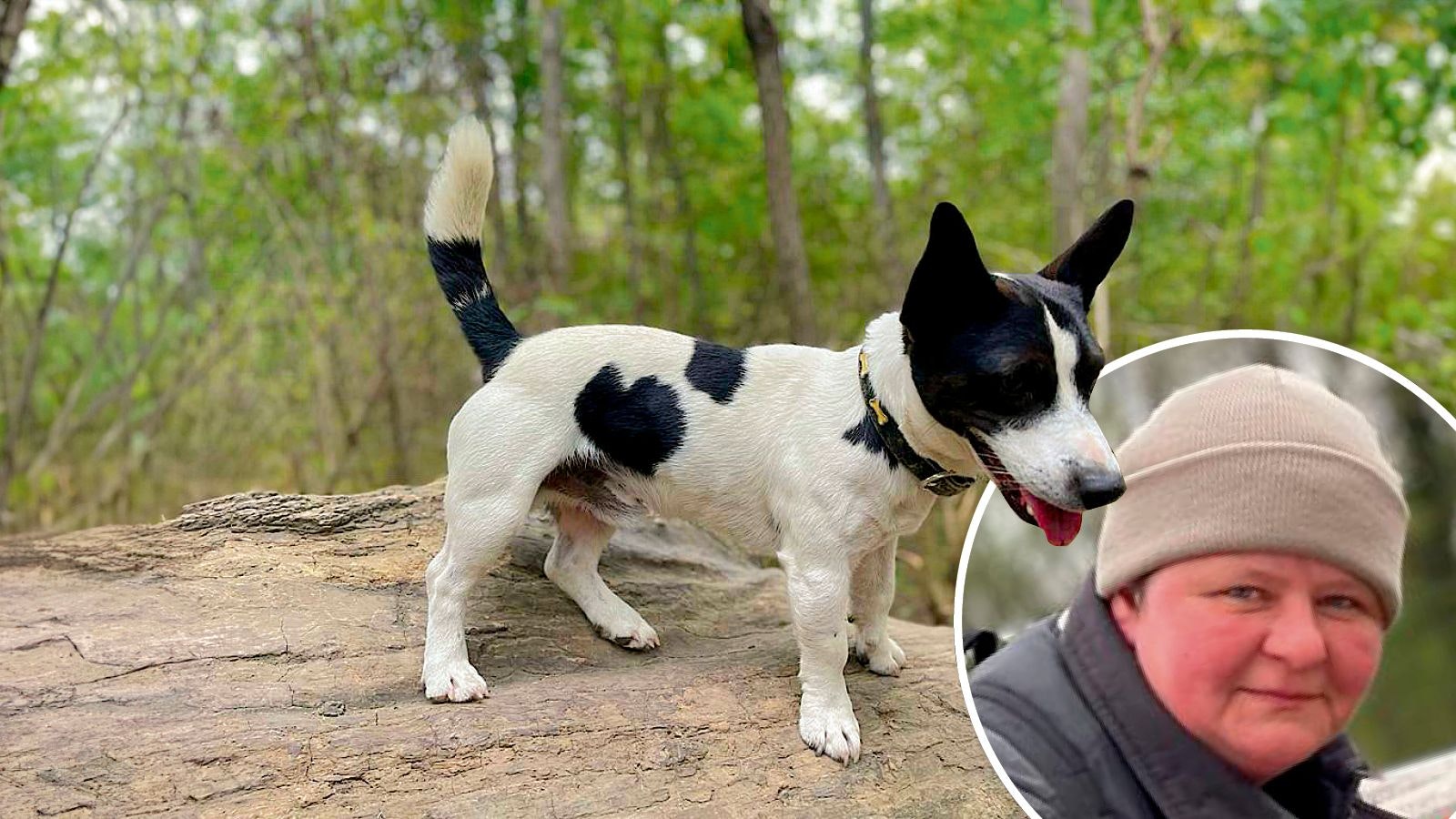 Eine Woche lang war Hund Nemo abgängig