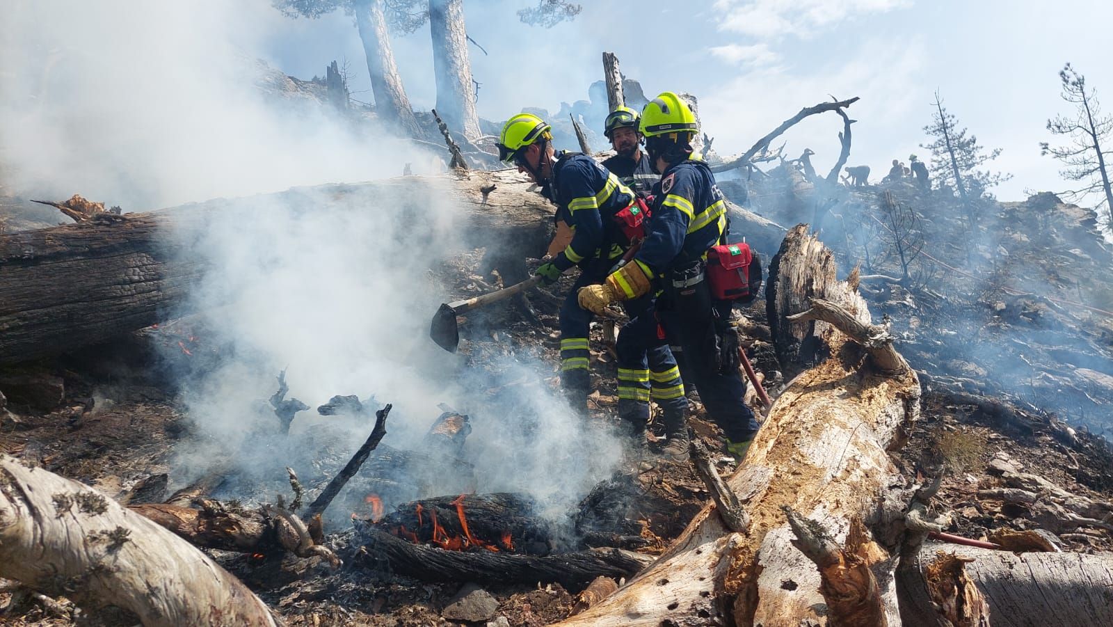 Niederösterreichs Feuerwehren löschten einen Waldbrand in Frankreich