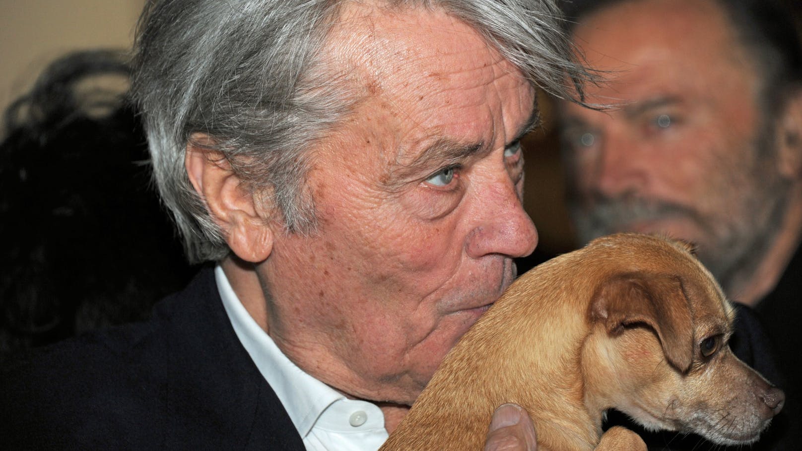 Schauspieler und Tiernarr&nbsp;<strong>Alain Delon</strong> mit Hündin Molly beim Weihnachtsfest auf Gut Aiderbichl in&nbsp;Henndorf nahe Salzburg, November 2014.