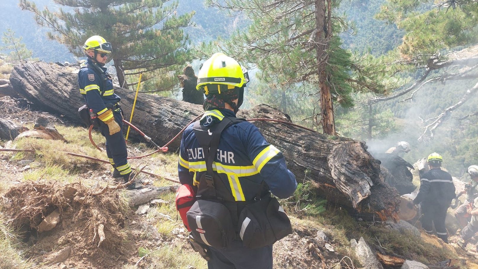 Die Feuerwehren aus Niederösterreich sind präventiv in Frankreich stationiert. Was ursprünglich als Training gedacht war, wurde schnell Realität. Sie mussten einen Waldbrand in der Nähe von Olmi-Capella bekämpfen.